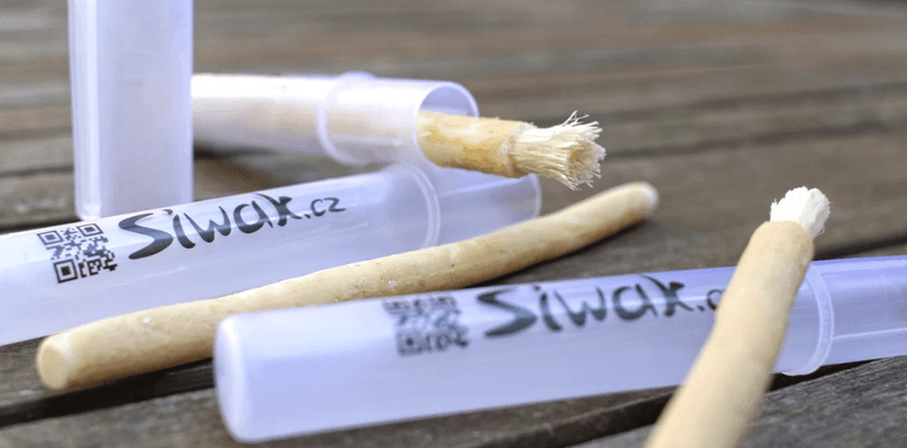 Přírodní zubní kartáček Siwak + pouzdro