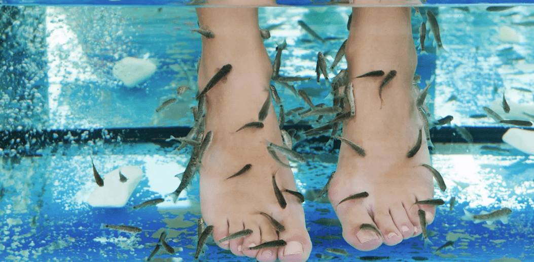 Garra Rufa a bublinková lázeň