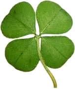 Jysk - Zelené dny slevy až 70%