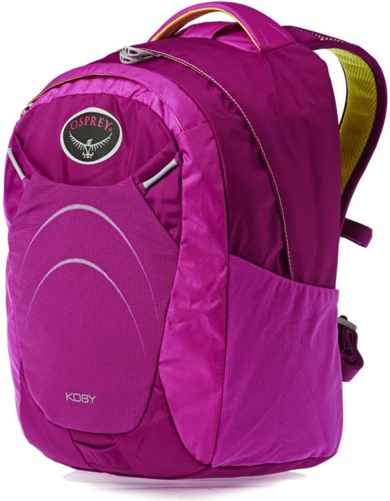 Batoh Osprey Koby Fialový 20l 