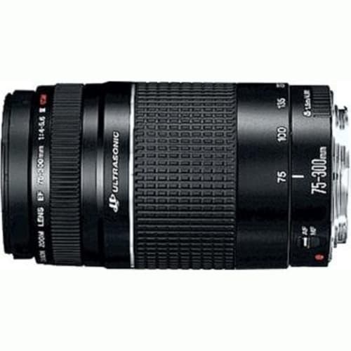 Objektiv Canon EF 75-300mm f/4-5,6 III USM