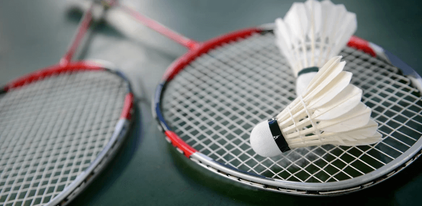 Hodina badmintonu až pro 4 hráče