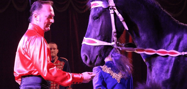 2 vstupenky do Cirkusu Andres