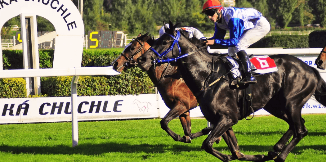 1× vstupenka na České derby 