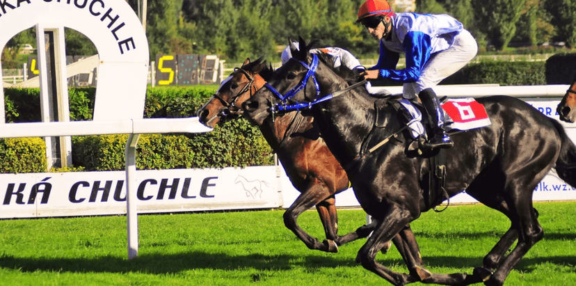 1× vstupenka na České derby 