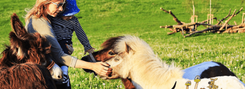 Celodenní rodinná vstupenka do farmaparku