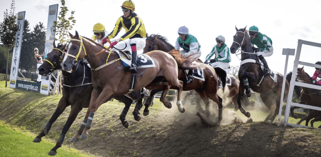 Vstupné na 127. Velkou pardubickou 