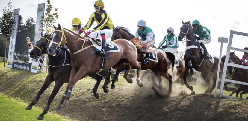 Vstupné na 127. Velkou pardubickou 