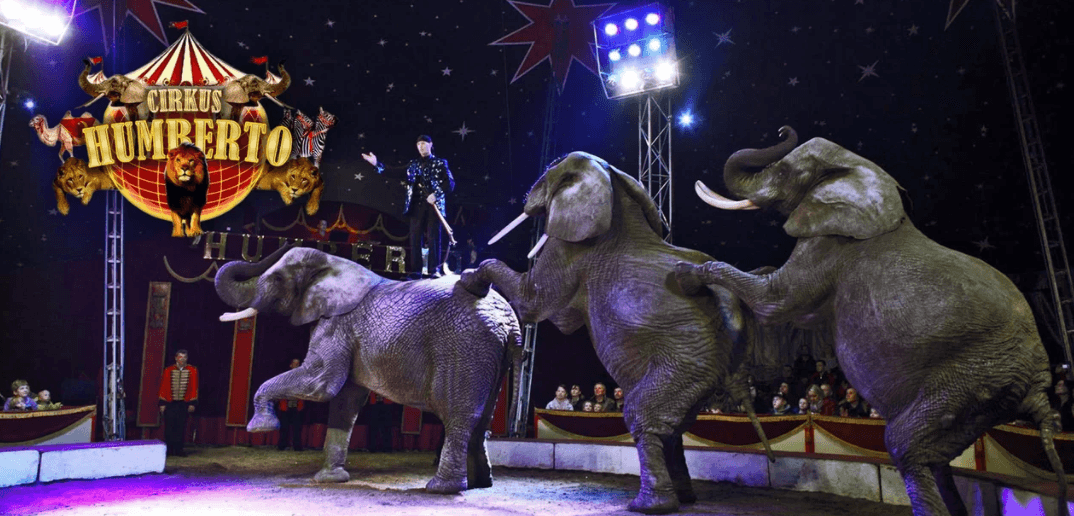Vstupenky na show Cirkusu Humberto