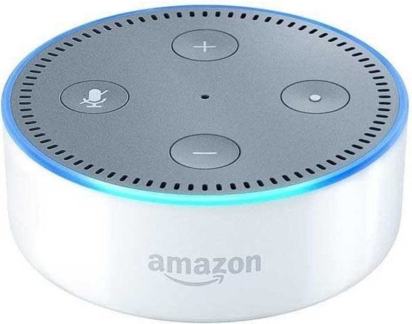 Amazon Echo DOT, umělá inteligence