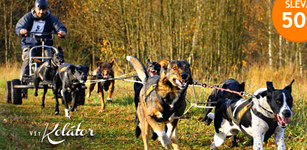 Jízda se psím spřežením, mushing