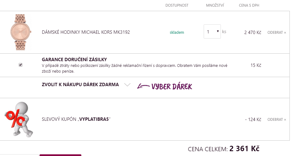 Dámské hodinky MICHAEL KORS