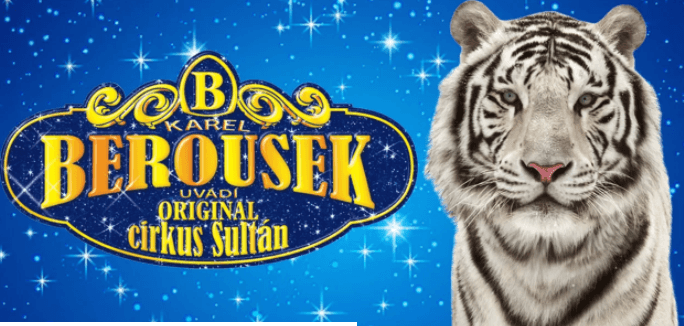 Vstupenky na originální cirkusovou show
