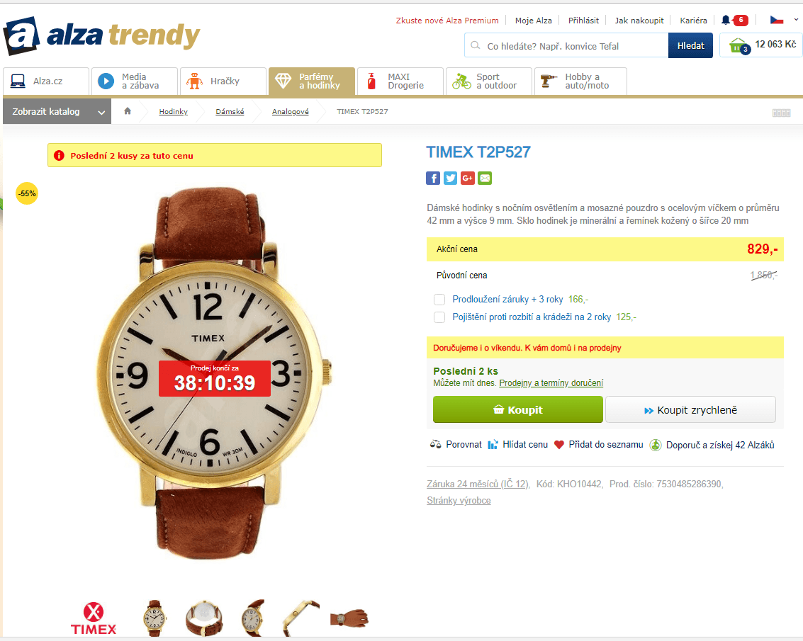 Dámské hodinky TIMEX T2P527