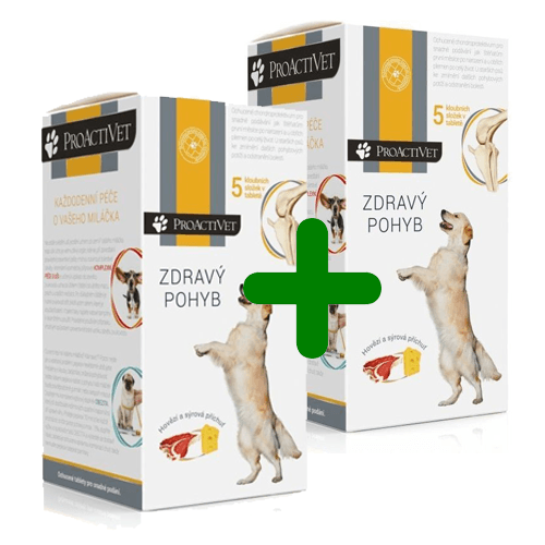 Proactivet Zdravý pohyb 90 tbl - akce