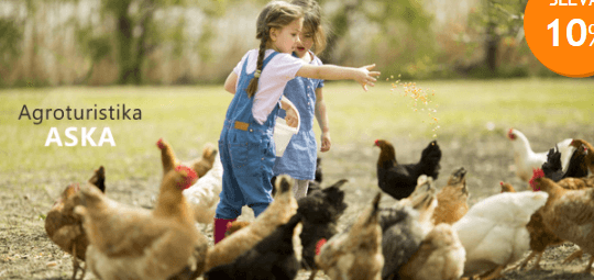 Farmářem na zkoušku pro 1 osobu nebo rodinu 