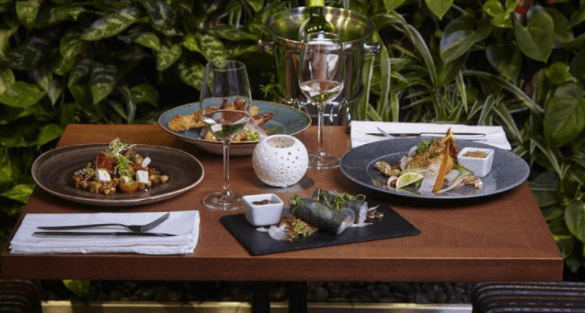 Vegetariánské degustační menu v rest. Etnosvět
