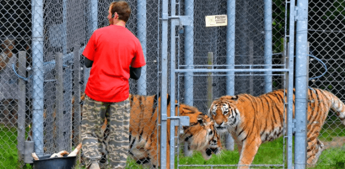 5hodinový zážitek v ZOO Tábor