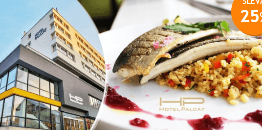 Luxusní degustační menu v Hotelu Palcát