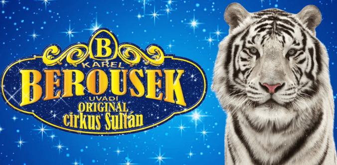 Vstupenky na originální cirkusovou show