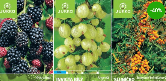 Poukaz na ovocné stromky a okrasné dřeviny