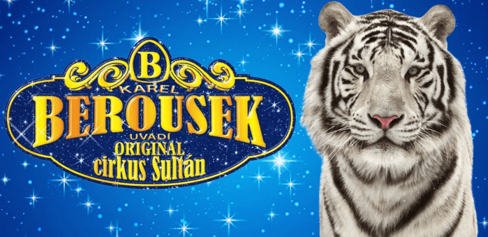 Vstupenky na originální cirkusovou show