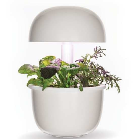 Chytrý květináč Plantui 3e Smart Garden