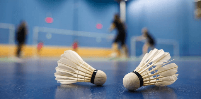 Víkendový badminton pronájem kurtu na 1 hodinu
