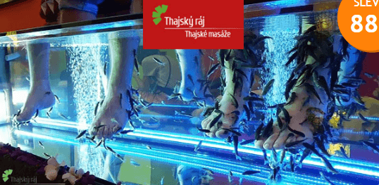 1× 15min. relax s rybičkami Garra Rufa