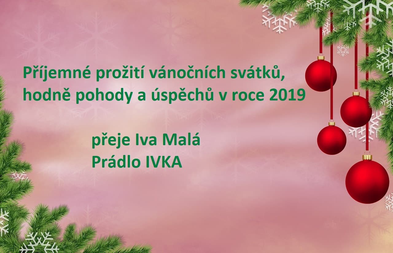Malý vánoční dárek pro registrované zákazníky