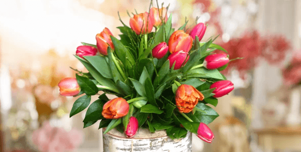 7–25 tulipánů s okrasnou zelení 
