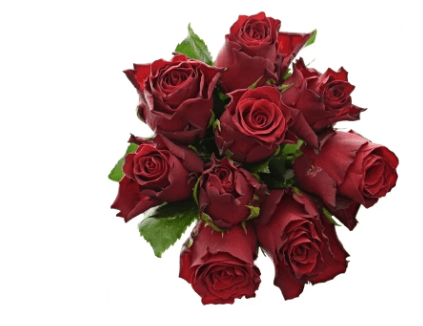 Kytice růží Madam Red o délce 50 cm se vzkazem