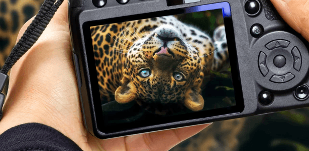 Fotografický kurz v českých zoo s Patrikem Staňkem