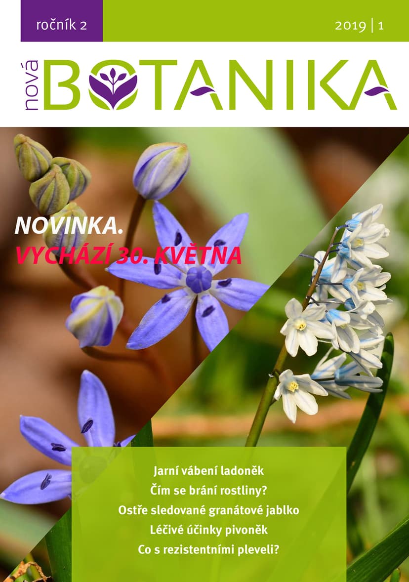 Nové číslo Nové Botaniky
