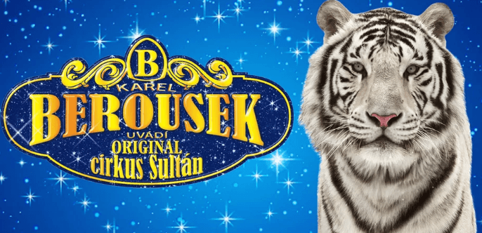 Vstupenky na originální cirkusovou show