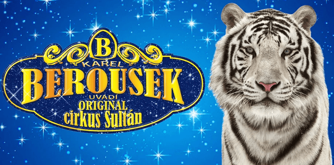 Vstupenky na originální cirkusovou show