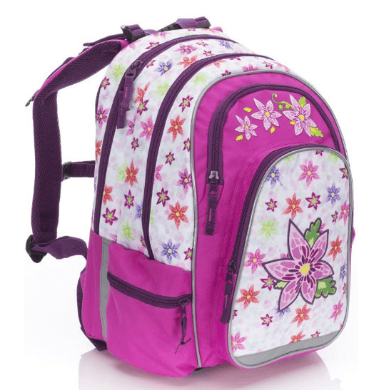 Batoh Karton P+P ERGO UNI Fantasy