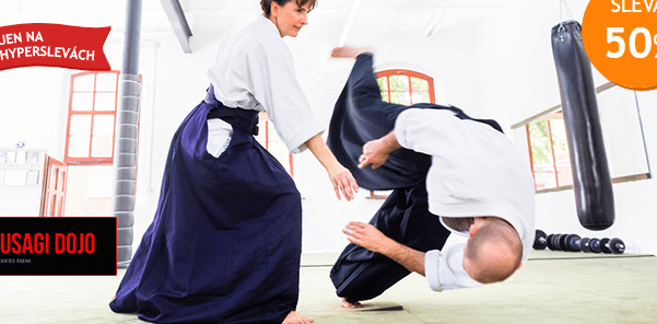 Kurz bojového umění Aikido