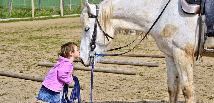Hrátky se zvířátky na farmě a jízda na koni