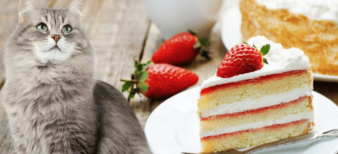 Toast a limonáda nebo džus