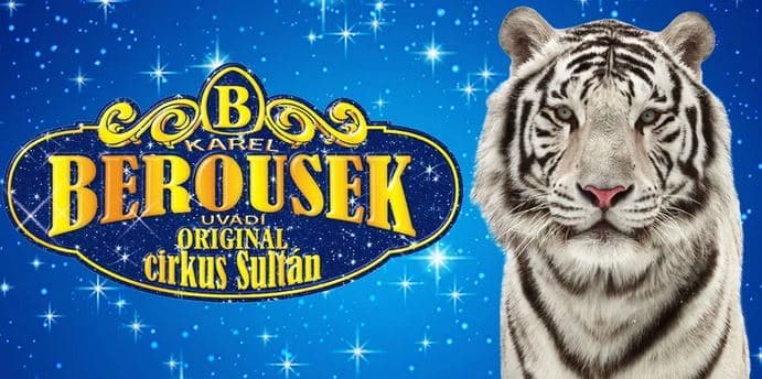 Vstupenky na originální cirkusovou show