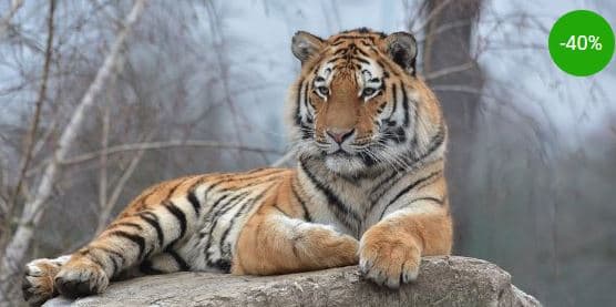 Rodinná vstupenka do Zoo v Hodoníně