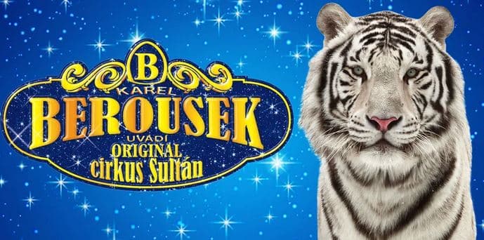 Vstupenky na originální cirkusovou show