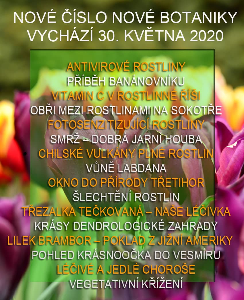 časopis Nová Botanika - nový ročník 2020
