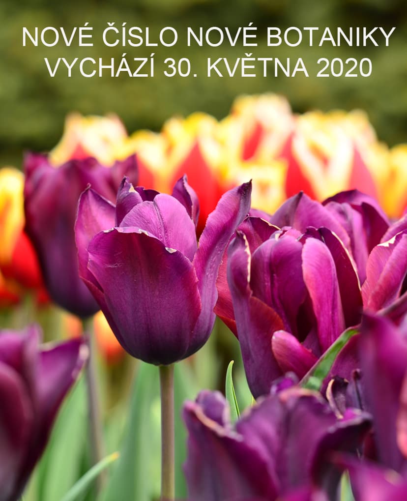časopis Nová Botanika - nový ročník 2020