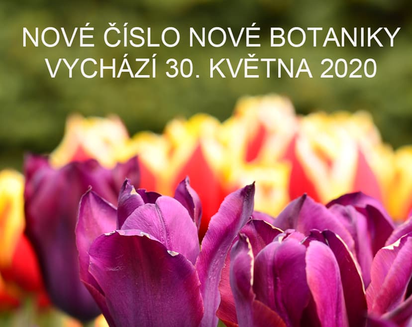 Časopis Nová Botanika - Superpředplatné 