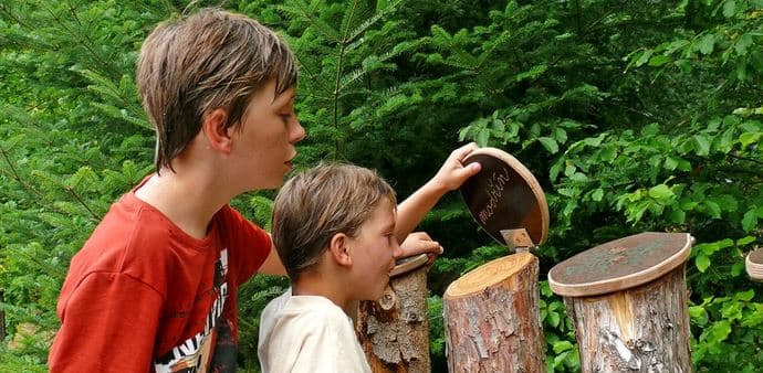 Celodenní vstupné do areálu Přírodovědného muzea