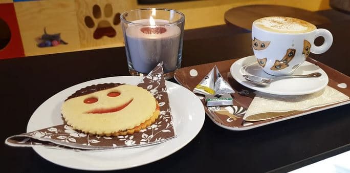 Nápoj a sladkost dle výběru 