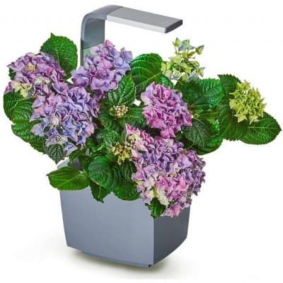 Chytrý květináč TREGREN T3