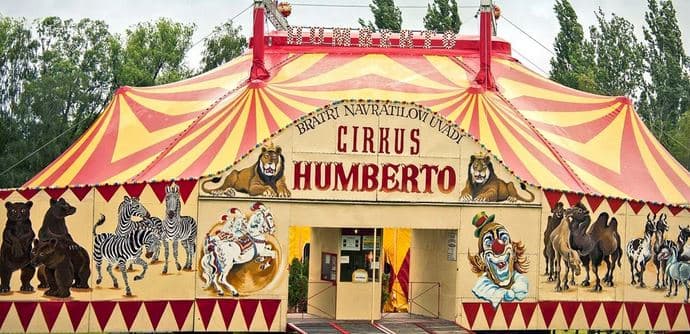 Cirkus Humberto vstup
